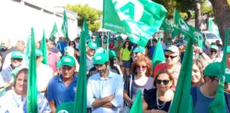 Cia Puglia, import grano determina crollo mercato italiano