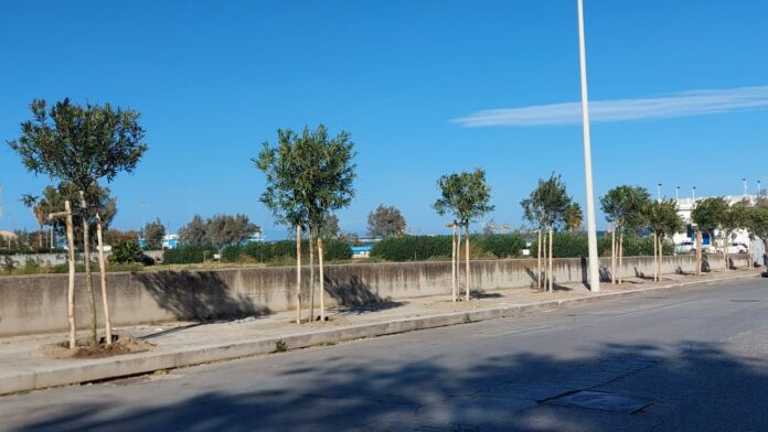 Oleandri 1