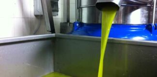 C’è l’avviso pubblico finanziato con fondi del PNRR per i frantoi oleari in Puglia
