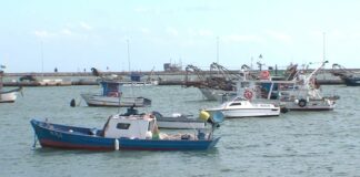 Eolico offshore e impatto occupazionale sulla pesca, preoccupazione della Flai Cgil