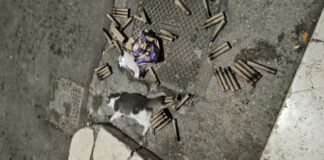 Barletta: tra fuochi di Capodanno e il terrore degli animali