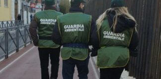 Deiezioni canine, Guardia Ambientale Barletta: «Impegno costante nella prevenzione»