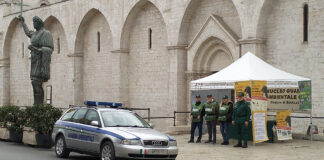 “I migliori amici si vedono nel momento del bisogno”, successo per la manifestazione a Barletta