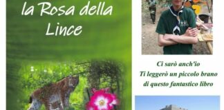 “La Rosa della Lince”, oggi la presentazione del libro al Castello di Barletta