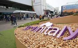 Al Vinitaly 2024 sarà presente anche Barletta