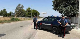 Furto aggravato e danneggiamento di alcuni negozi a Spinazzola, in arresto 42enne beneventano
