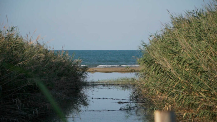 Barletta-canale-h-aggiornamento_05-08-24