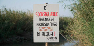 Acque Canale H, per Arpa Puglia sono balneabili: l’esito del monitoraggio