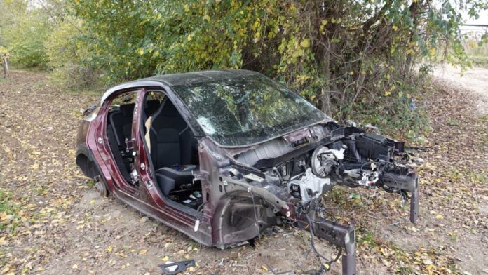 auto rubate