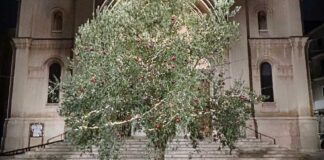 Confagricoltura Bari Bat : tutela del territorio e impegno per competitività e sostenibilità