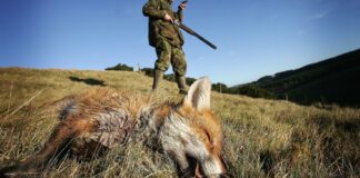 Istituito il nuovo Ambito Territoriale di Caccia BAT