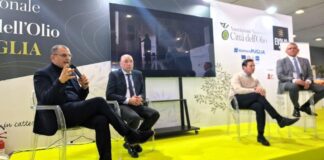 Barletta presente alla fiera dell’Olio EVO del Mediteraneo, “Evolio Expo”