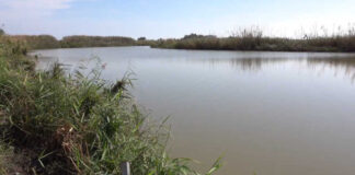 Parco regionale Ofanto, il Nucleo di Vigilanza ambientale proseguirà nel monitoraggio