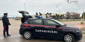 Controlli dei Carabinieri del Comando Provinciale, 7 patenti ritirate e 3 veicoli sequestrati
