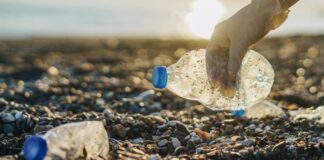 Mobilitazione ecologica senza precedenti: «Difendiamo le nostre spiagge e il nostro mare»