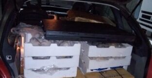 Sequestrati a Barletta tre quintali di pesce senza tracciabilità