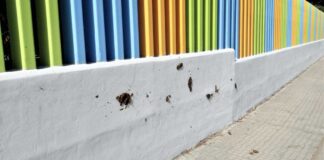 La recinzione della scuola “G. Rodari” imbrattata con deiezioni canine