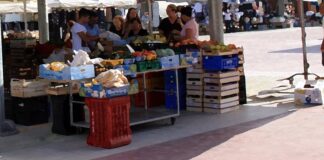 Mercati cittadini autorizzati anche nella ricorrenza di Ognissanti
