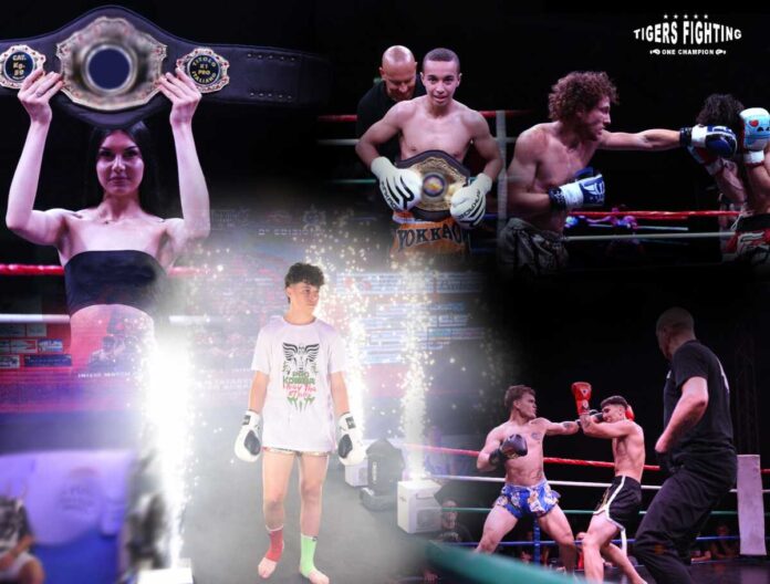 tiger fighting champion_2