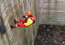 Gatto caduto in un vascone e salvato dai vigili del fuoco all’interno dell’ex distilleria