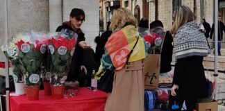 Stelle di Natale 2025, iniziativa dell’AIL a supporto della ricerca scientifica