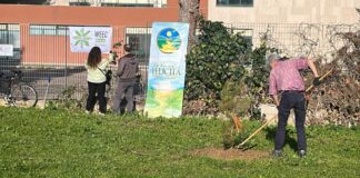 Barletta, volontari al Parco dell’Ulivi per la cura del verde e la raccolta rifiuti
