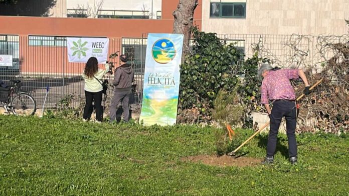 Parco degli Ulivi Barletta 6
