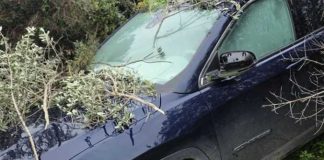 Assalto a portavalori in Salento, auto banditi rubate a Barletta e Bisceglie