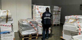 Guardia Costiera BAT, sequestrati 500 chili di prodotto ittico