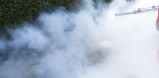 Al via il 2° ciclo di deblattizzazione a Barletta