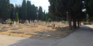 Dietrofront di Cannito: il cimitero comunale sarà aperto anche di pomeriggio