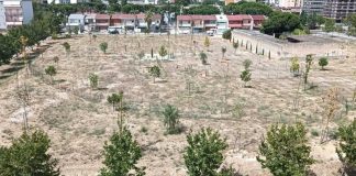 Parco urbano nel quartiere 167, il Comitato: «Monumento all’incuria e al disinteresse»