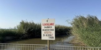 Canale H, Comitato Operazione Aria Pulita: «Basta ordinanze, restituire ai cittadini un mare pulito»
