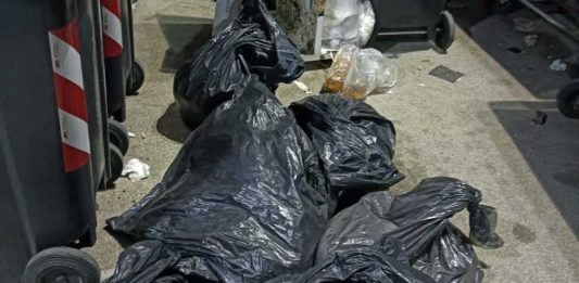 Abbondo rifiuti all’isola ecologica di via Largo delle Palme: mille euro di sanzioni