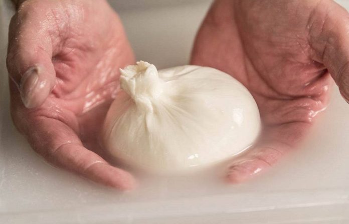 BURRATA_LATTERIADELSOLE_RID-1024x658