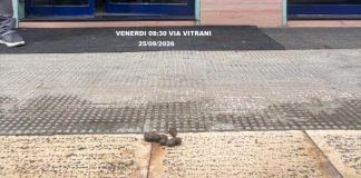 Deiezioni canine sui marciapiedi, il Comitato Medaglie d’Oro: «Colpa di una minoranza»