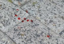 Lite in Piazza Plebiscito, Ambulatorio Popolare: «Il problema è profondo»