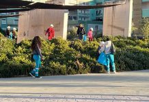 Giovani e volontari insieme per l’ambiente: raccolti i rifiuti abbandonati al Parco dell’Umanità di Barletta
