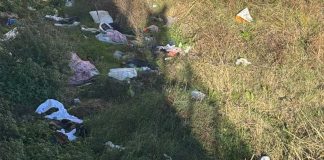 Ponente e Levante, Oronzo Carli: «Grave degrado ambientale, basta indifferenza»