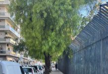 Verde pubblico, Oronzo Carli: «La sicurezza è un dovere. Ma anche la cura del patrimonio pubblico»