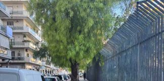 Verde pubblico, Oronzo Carli: «La sicurezza è un dovere. Ma anche la cura del patrimonio pubblico»